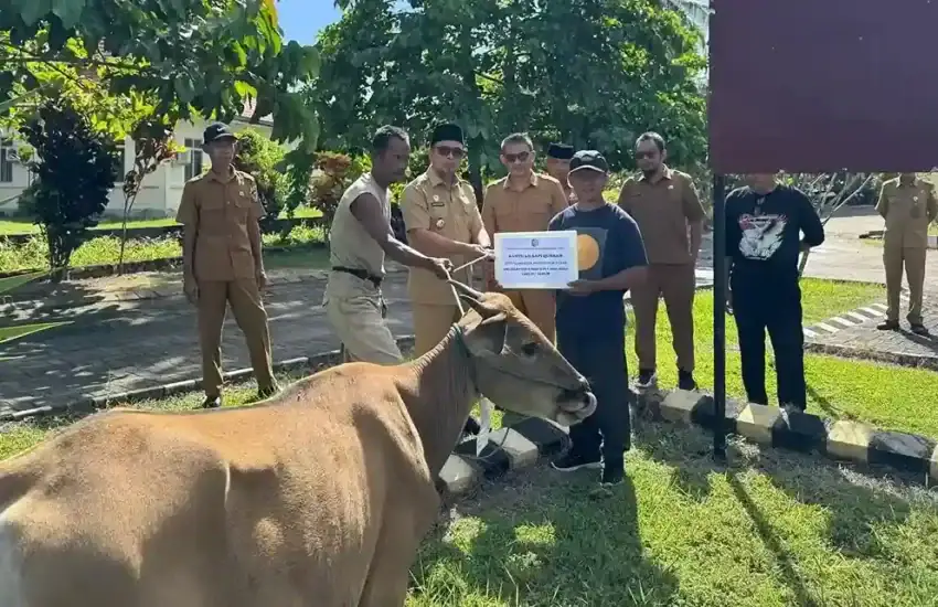 Bupati Boltara Serahkan Bantuan Hewan Kurban Idul Adha