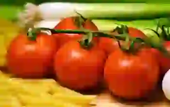 Buah Tomat Ceri